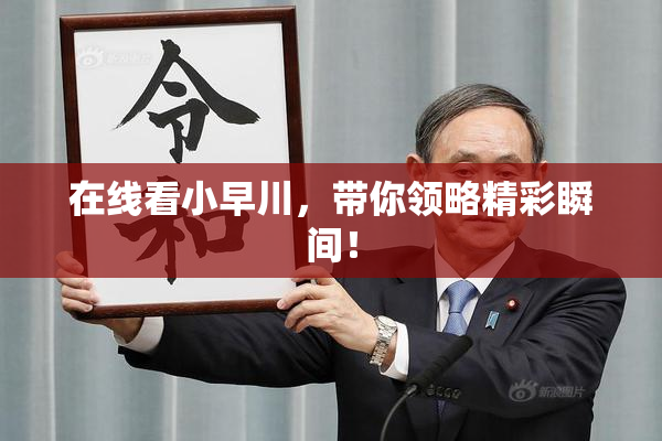在线看小早川，带你领略精彩瞬间！