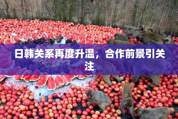 日韩关系再度升温，合作前景引关注