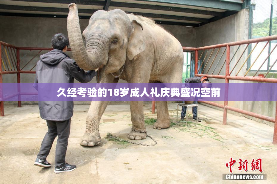 久经考验的18岁成人礼庆典盛况空前