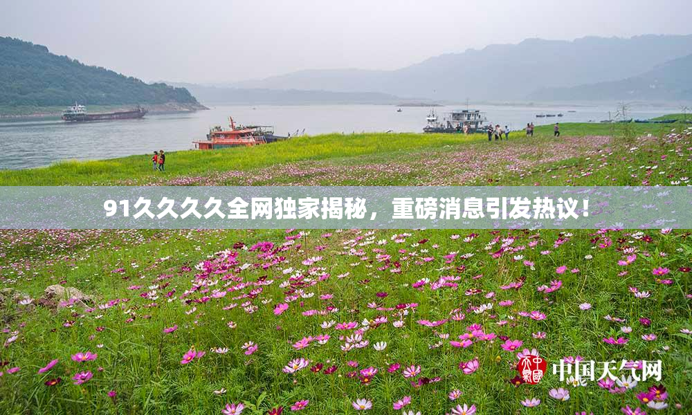 91久久久久全网独家揭秘，重磅消息引发热议！