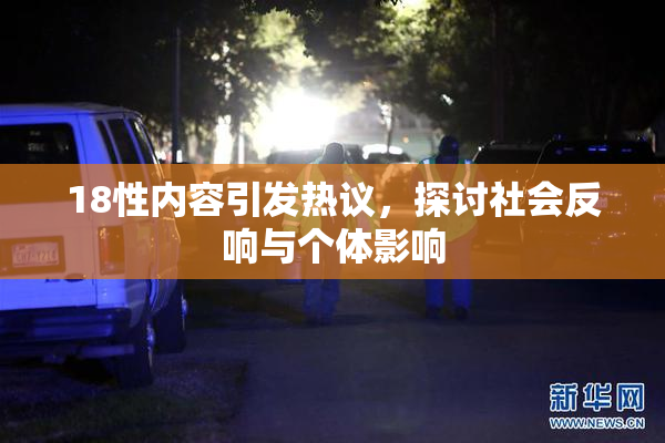 18性内容引发热议，探讨社会反响与个体影响