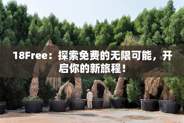18Free：探索免费的无限可能，开启你的新旅程！