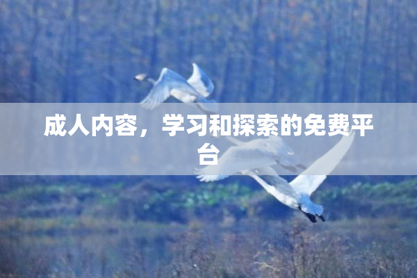 成人内容，学习和探索的免费平台