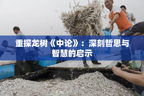 重探龙树《中论》：深刻哲思与智慧的启示