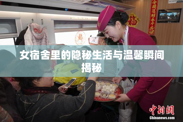 女宿舍里的隐秘生活与温馨瞬间揭秘