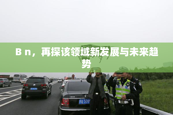 B n，再探该领域新发展与未来趋势