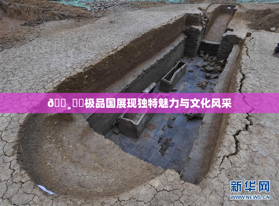 🌸‌✿极品国展现独特魅力与文化风采
