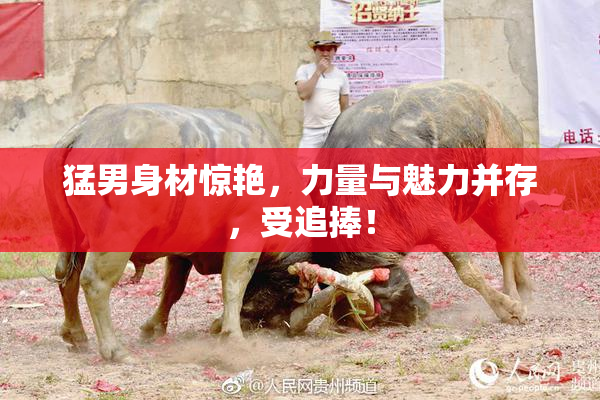 猛男身材惊艳，力量与魅力并存，受追捧！