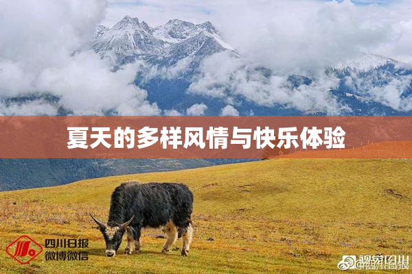 夏天的多样风情与快乐体验