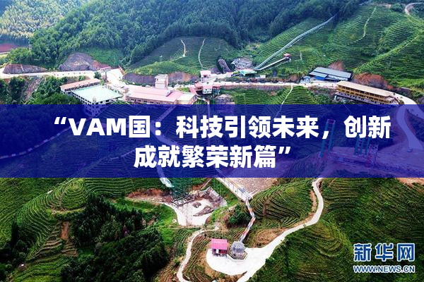 “VAM国：科技引领未来，创新成就繁荣新篇”