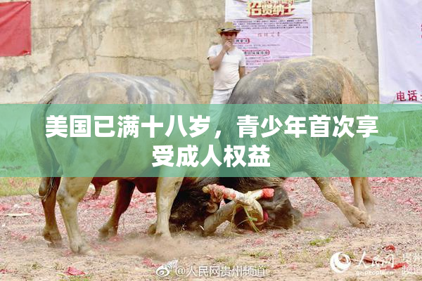 美国已满十八岁，青少年首次享受成人权益