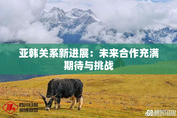 亚韩关系新进展：未来合作充满期待与挑战