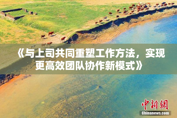 《与上司共同重塑工作方法，实现更高效团队协作新模式》