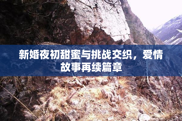 新婚夜初甜蜜与挑战交织，爱情故事再续篇章
