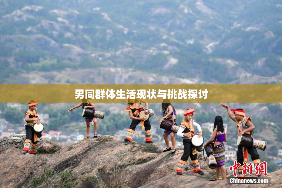 男同群体生活现状与挑战探讨
