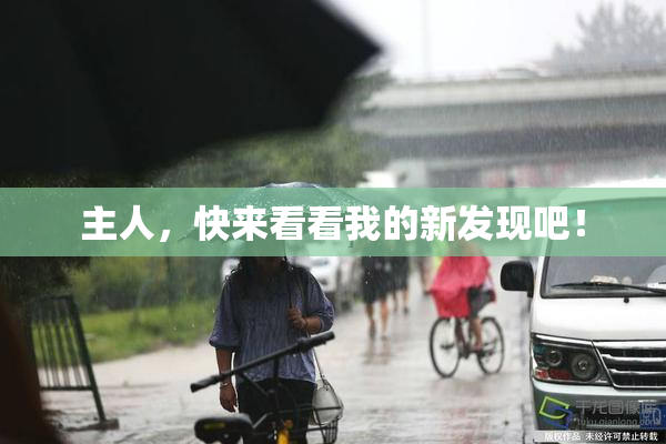 主人，快来看看我的新发现吧！