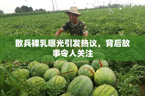 散兵裸乳曝光引发热议，背后故事令人关注
