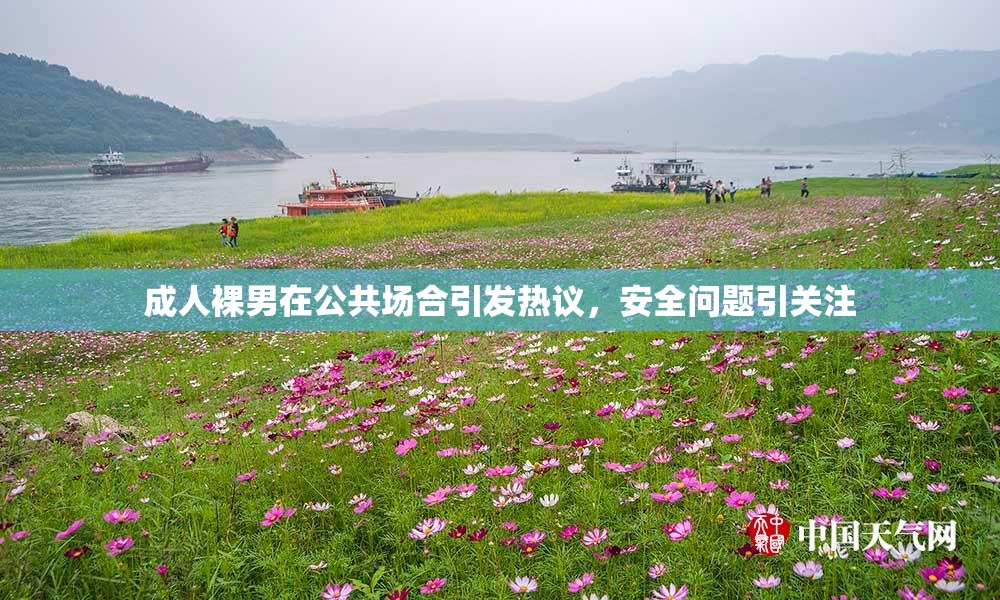 成人裸男在公共场合引发热议，安全问题引关注