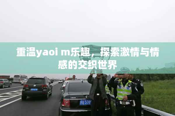 重温yaoi m乐趣，探索激情与情感的交织世界