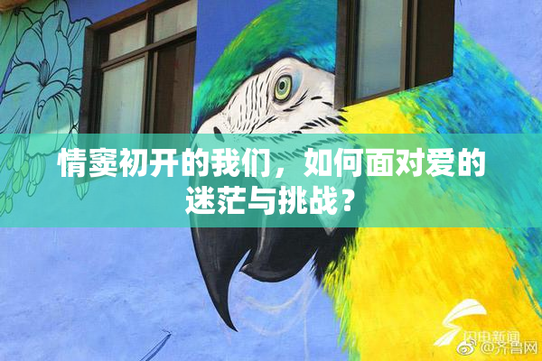 情窦初开的我们，如何面对爱的迷茫与挑战？
