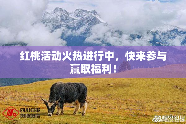 红桃活动火热进行中，快来参与赢取福利！