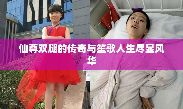 仙尊双腿的传奇与笙歌人生尽显风华