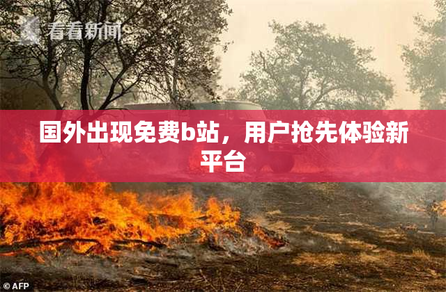 国外出现免费b站，用户抢先体验新平台