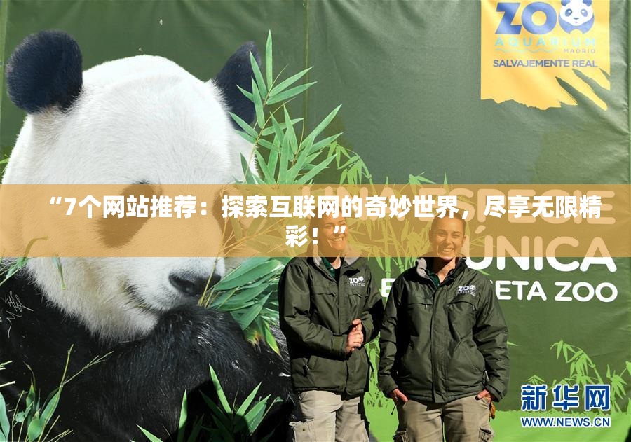 “7个网站推荐：探索互联网的奇妙世界，尽享无限精彩！”