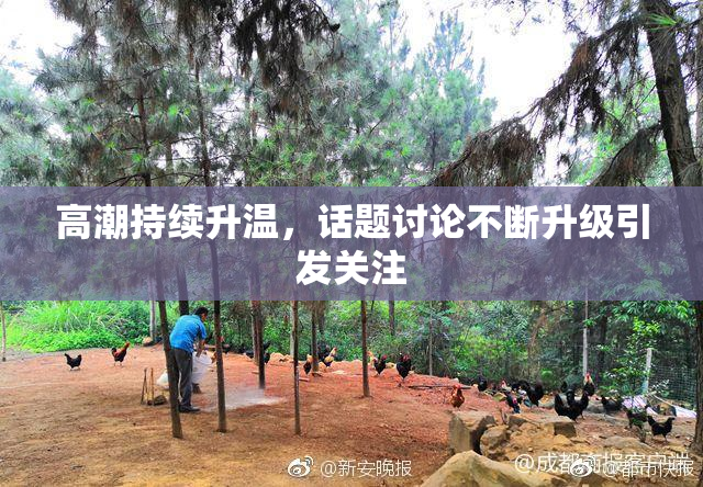高潮持续升温，话题讨论不断升级引发关注