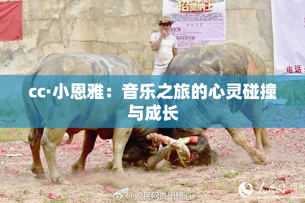 cc·小恩雅：音乐之旅的心灵碰撞与成长