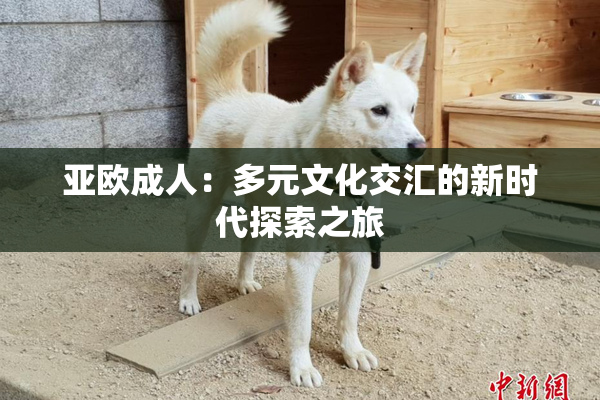 亚欧成人：多元文化交汇的新时代探索之旅