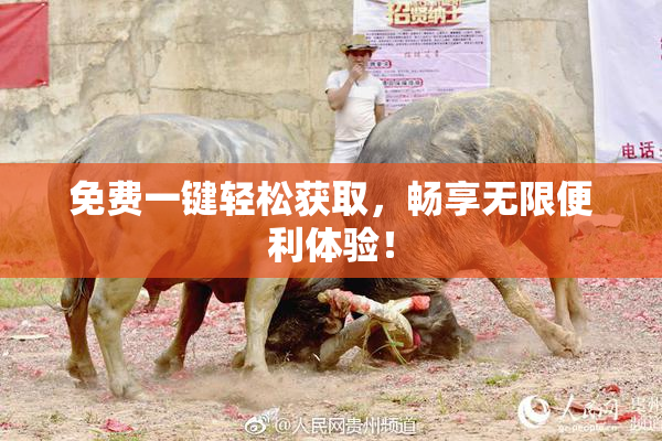 免费一键轻松获取，畅享无限便利体验！