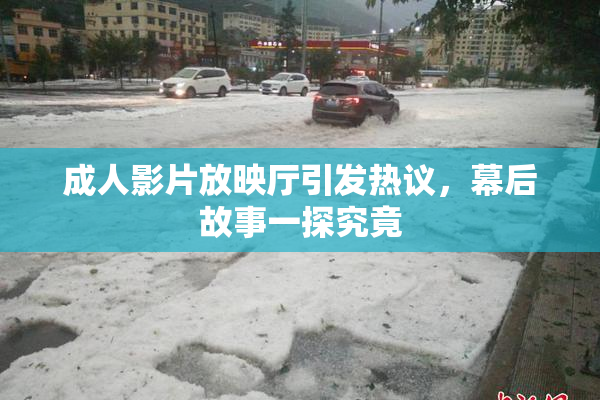 成人影片放映厅引发热议，幕后故事一探究竟