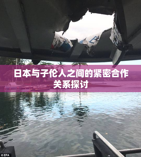 日本与子伦人之间的紧密合作关系探讨