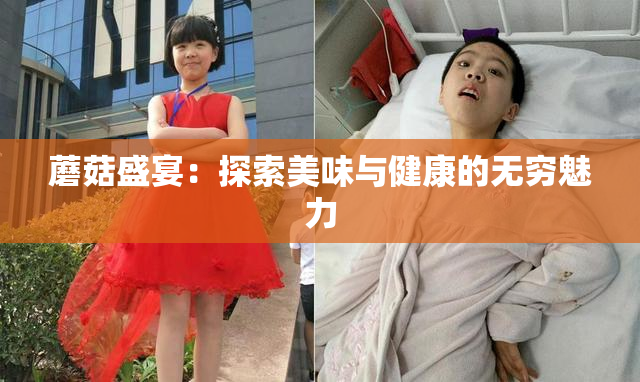 蘑菇盛宴：探索美味与健康的无穷魅力