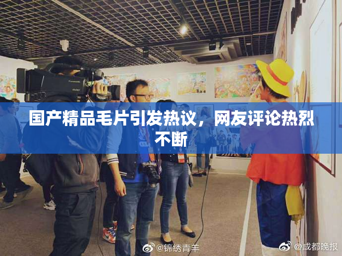 国产精品毛片引发热议，网友评论热烈不断