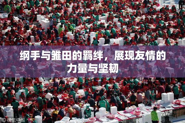 纲手与雏田的羁绊，展现友情的力量与坚韧
