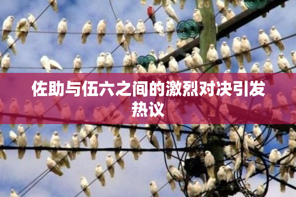 佐助与伍六之间的激烈对决引发热议