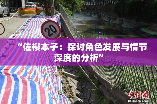 “佐樱本子：探讨角色发展与情节深度的分析”