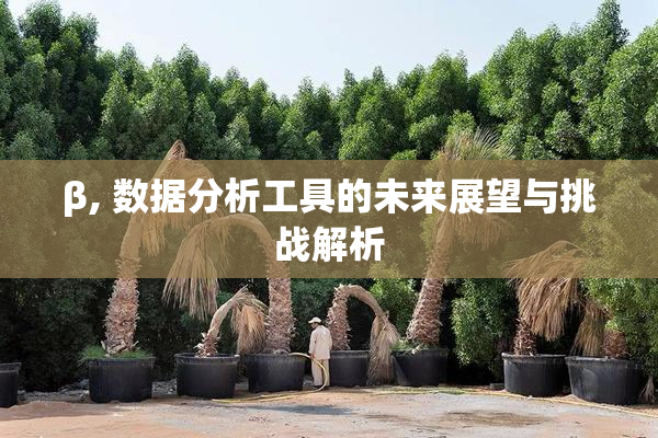 β, 数据分析工具的未来展望与挑战解析
