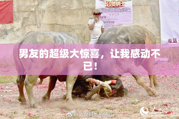 男友的超级大惊喜，让我感动不已！