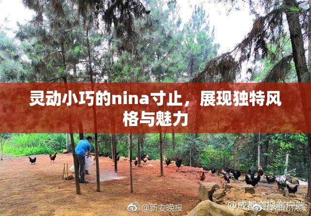 灵动小巧的nina寸止，展现独特风格与魅力