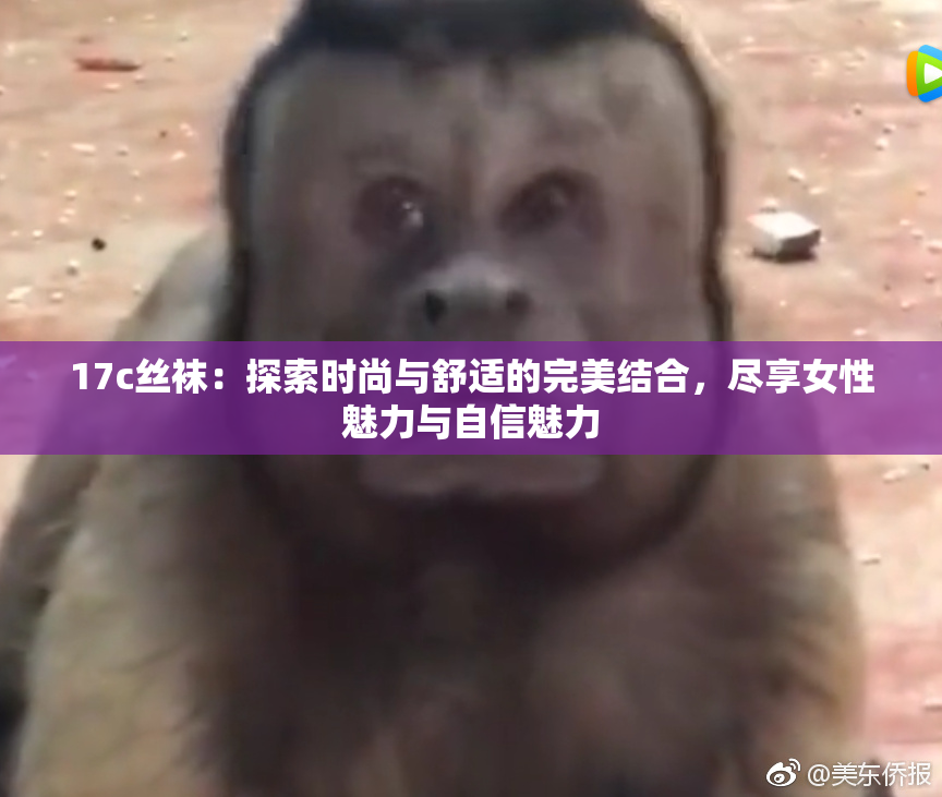 17c丝袜：探索时尚与舒适的完美结合，尽享女性魅力与自信魅力