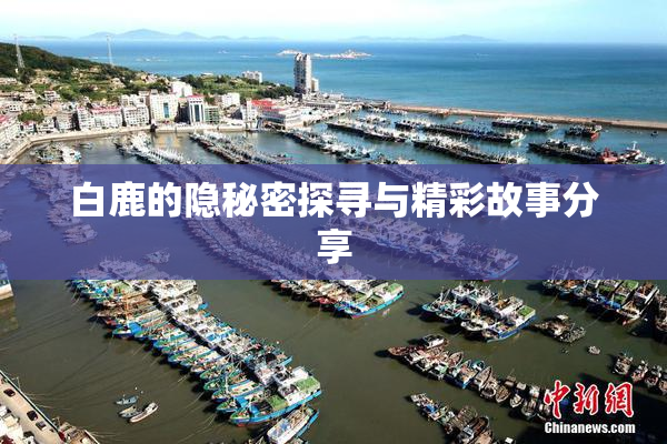 白鹿的隐秘密探寻与精彩故事分享