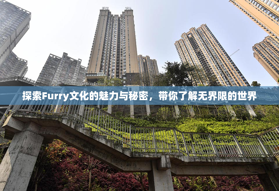 探索Furry文化的魅力与秘密，带你了解无界限的世界