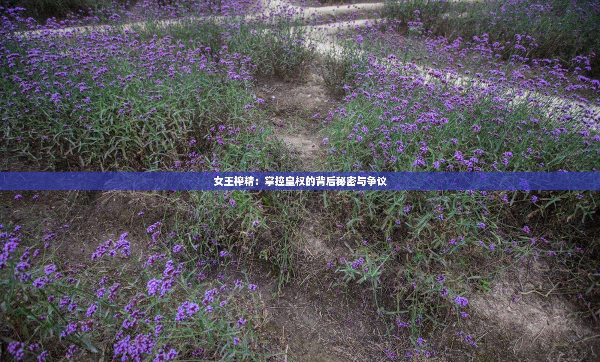 女王榨精：掌控皇权的背后秘密与争议