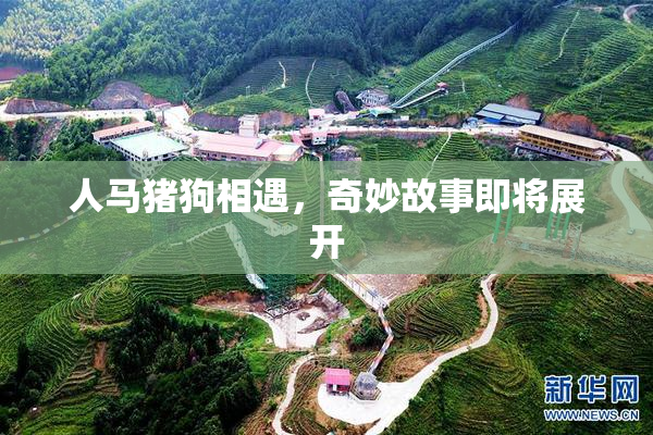 人马猪狗相遇，奇妙故事即将展开