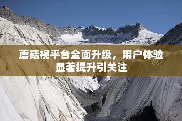 蘑菇视平台全面升级，用户体验显著提升引关注