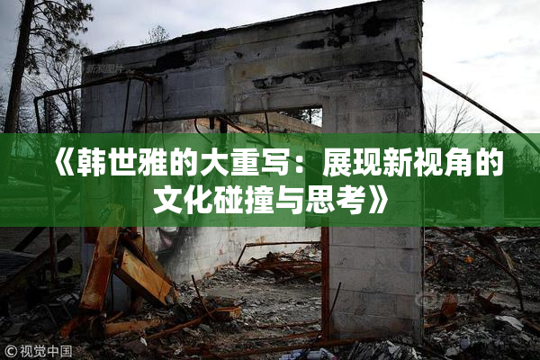 《韩世雅的大重写：展现新视角的文化碰撞与思考》