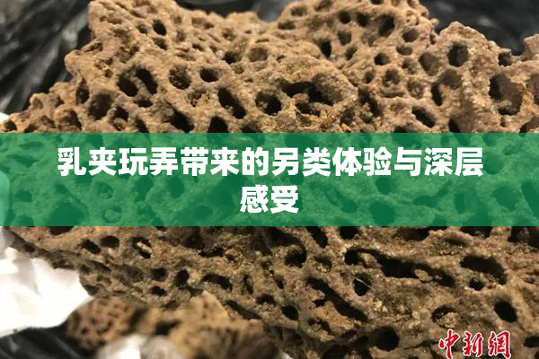 乳夹玩弄带来的另类体验与深层感受